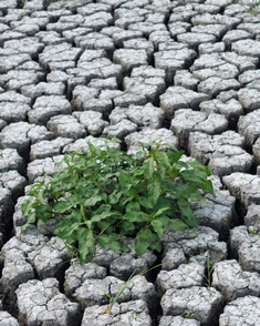 The lake bed is dry